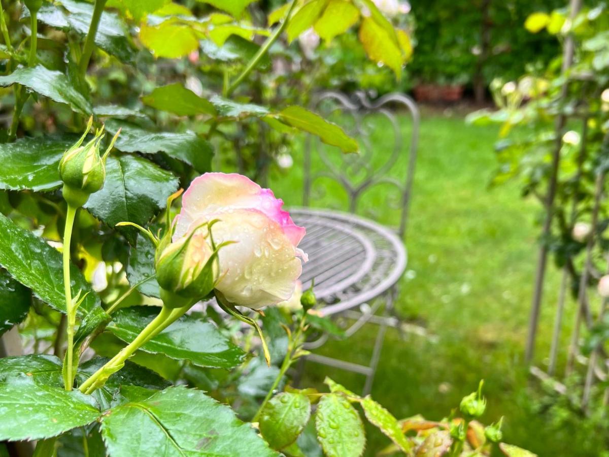 La Finestra Sul Giardino - B&B Cavedine Exteriér fotografie