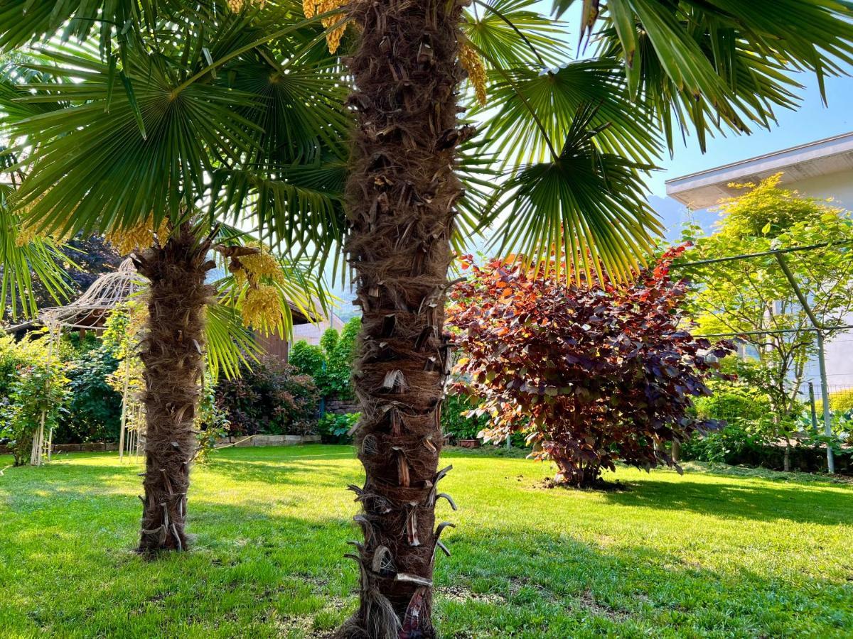 La Finestra Sul Giardino - B&B Cavedine Exteriér fotografie
